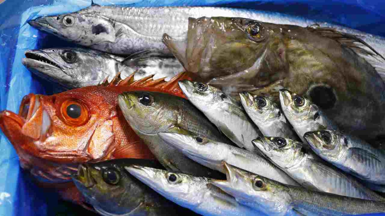 鳥千のパートナーシップ